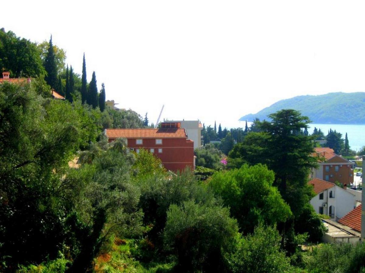 Villa Seka Будва Экстерьер фото